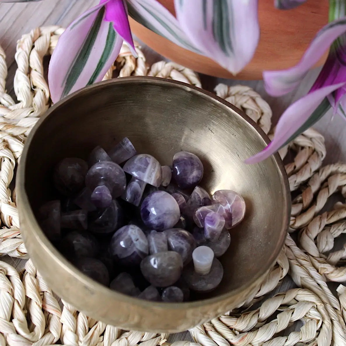 Mini Crystal Mushrooms, Amethyst